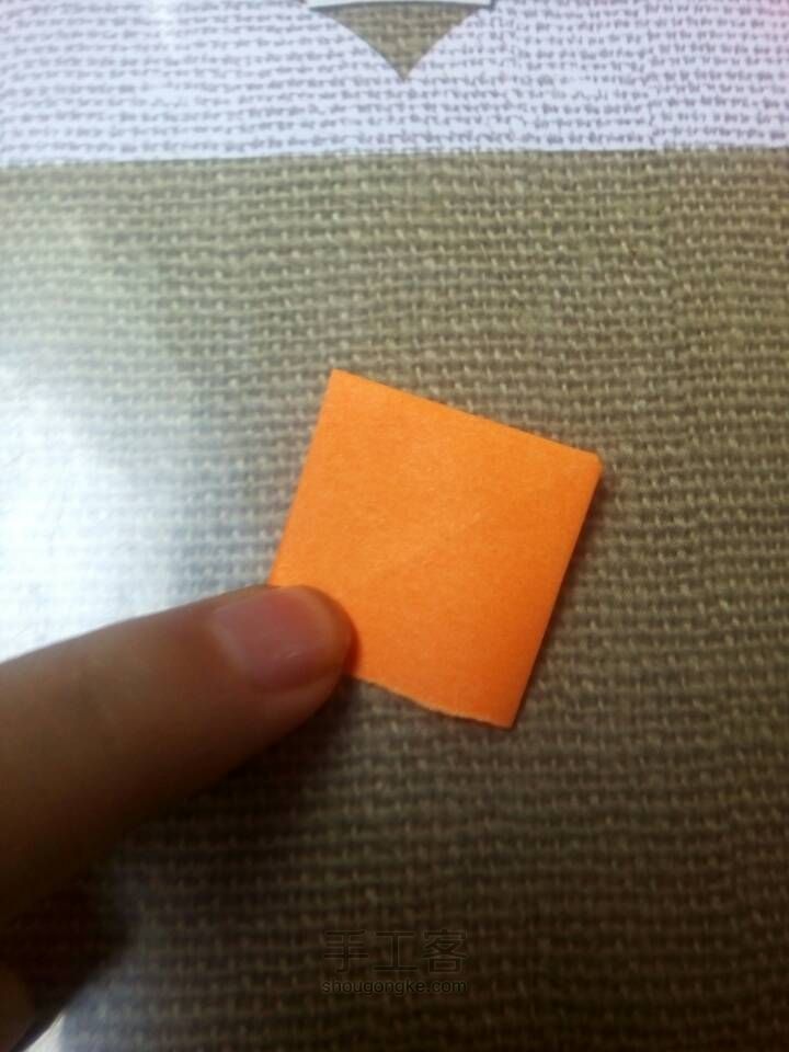 三色螵虫 第7步