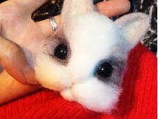 冬天羊毛毡长毛兔宝宝胸针
