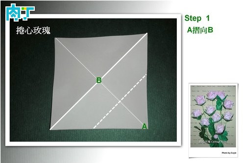 玫瑰花 第1步