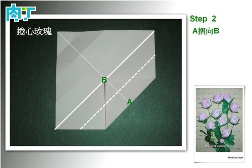 玫瑰花 第2步