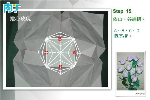 玫瑰花 第15步