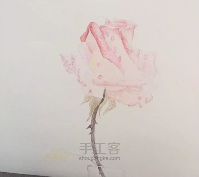 彩铅🌹花 第2步