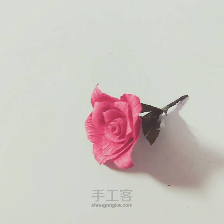 🌹小王子的玫瑰花🌹 第7步