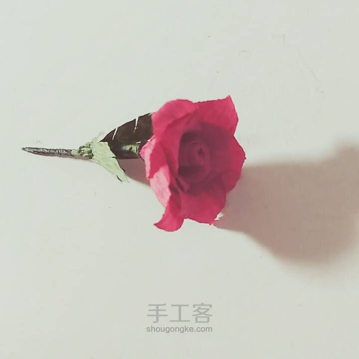 🌹小王子的玫瑰花🌹 第8步