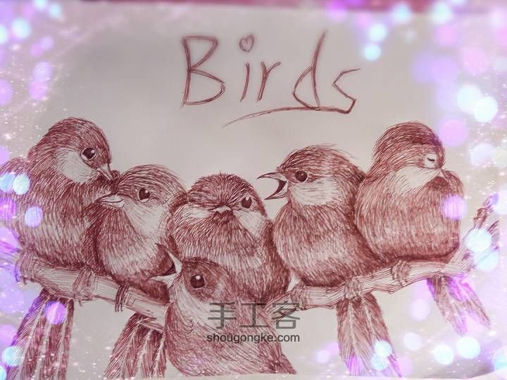 可爱的六只小鸟🐦(▽)♪（圆珠笔素描绘画） 第2步