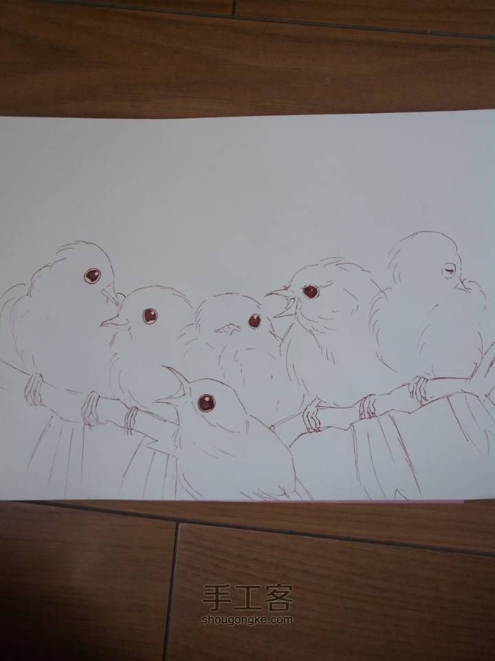 可爱的六只小鸟🐦(▽)♪（圆珠笔素描绘画） 第13步