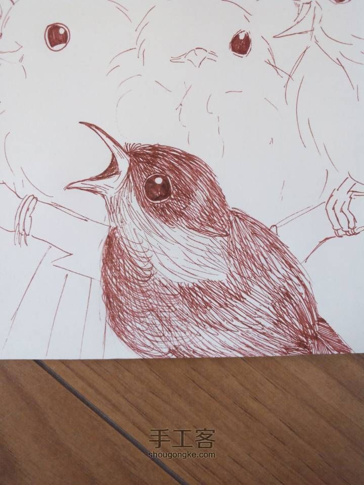 可爱的六只小鸟🐦(▽)♪（圆珠笔素描绘画） 第15步
