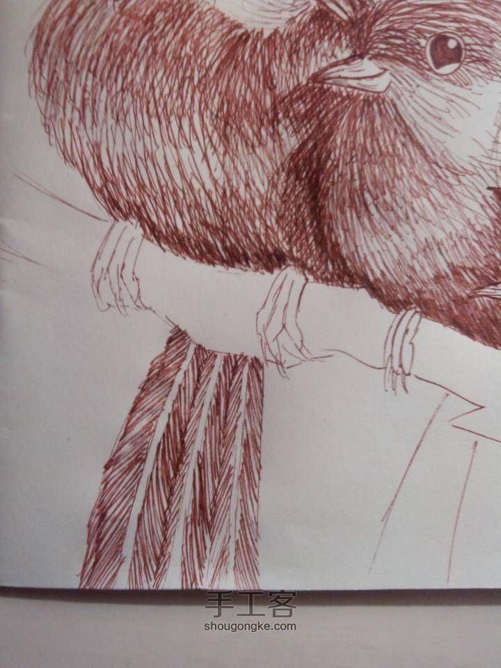可爱的六只小鸟🐦(▽)♪（圆珠笔素描绘画） 第18步