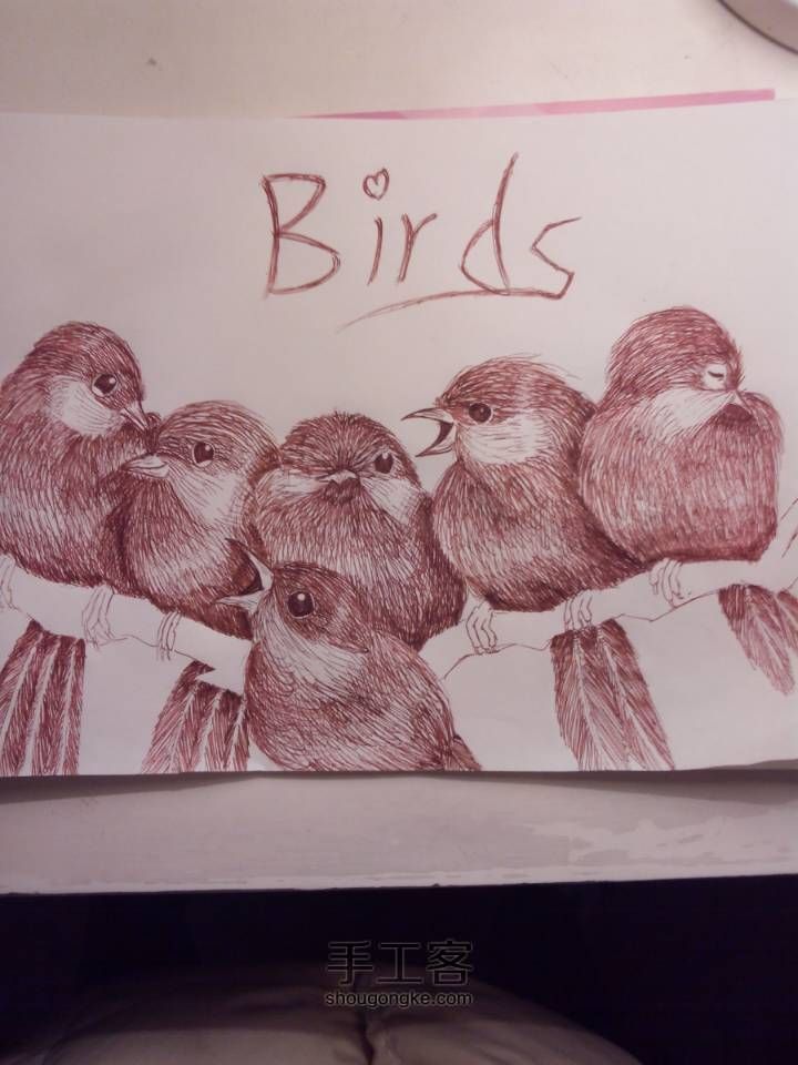 可爱的六只小鸟🐦(▽)♪（圆珠笔素描绘画） 第20步