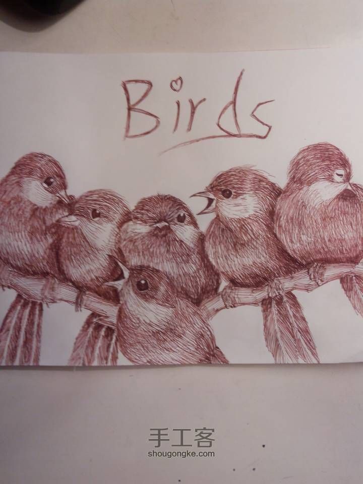 可爱的六只小鸟🐦(▽)♪（圆珠笔素描绘画） 第25步