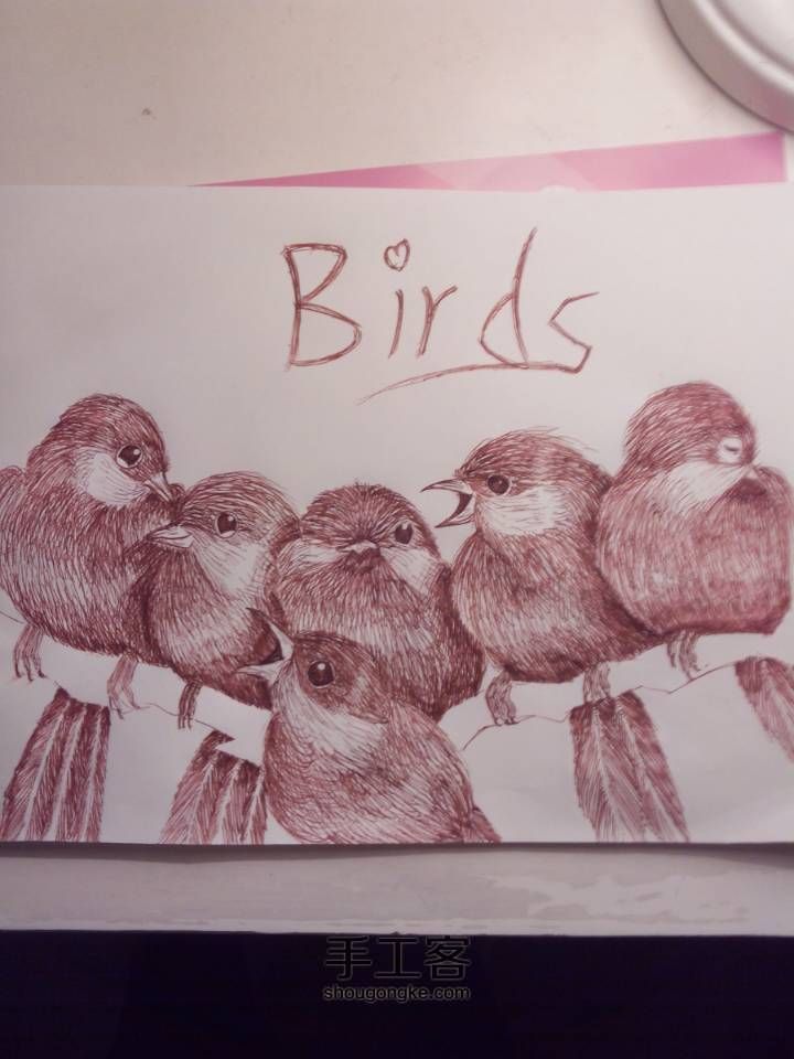 可爱的六只小鸟🐦(▽)♪（圆珠笔素描绘画） 第23步