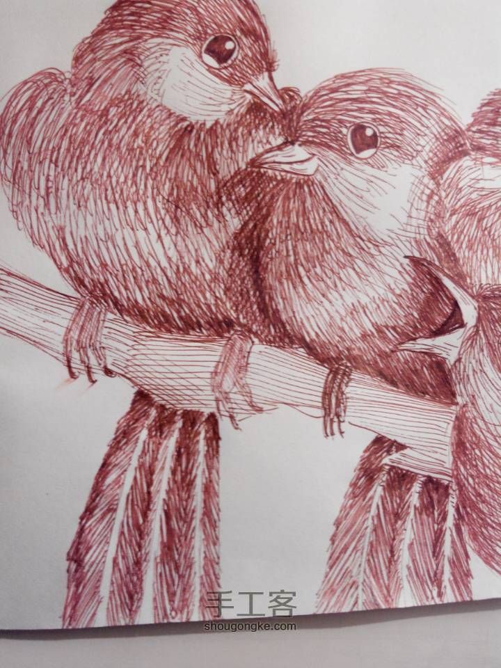 可爱的六只小鸟🐦(▽)♪（圆珠笔素描绘画） 第24步
