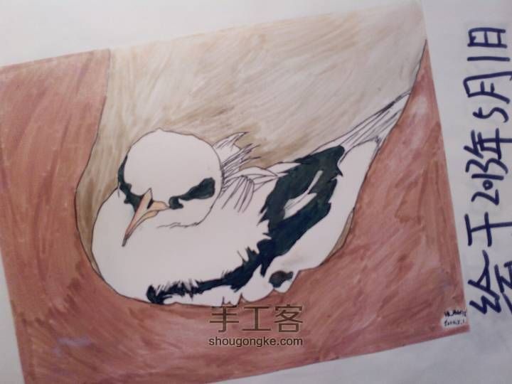 可爱的六只小鸟🐦(▽)♪（圆珠笔素描绘画） 第30步