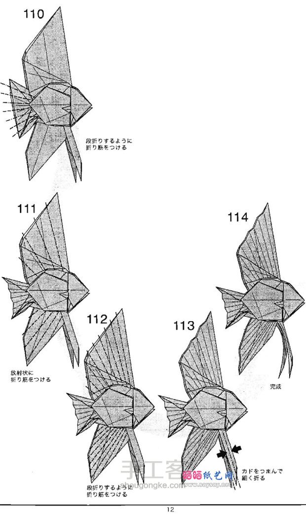 神仙鱼🐠（转） 第10步