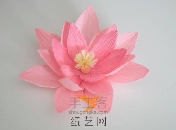 小清新的纸艺莲花【转载 第11步