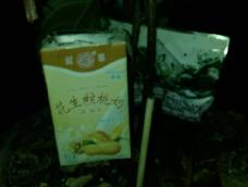 不仅是用牛奶盒，任何容易改造的盛水容器都行