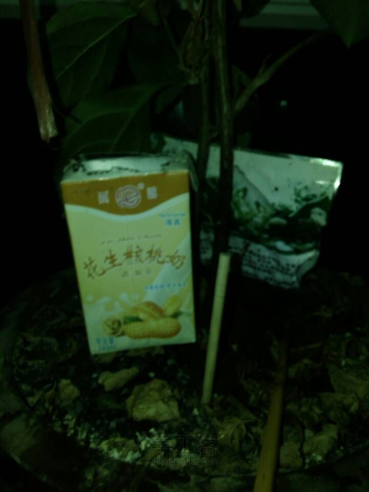 牛奶盒改造浇花器 第4步