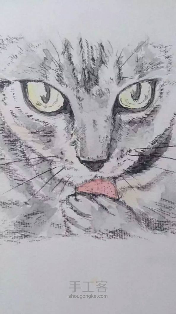 匠心制爱 水彩猫猫插画 含蓄秀恩爱壁纸  原创作品 第4步