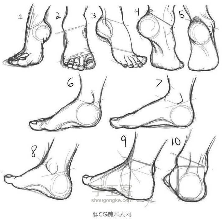 （转）脚的结构参考 第1步