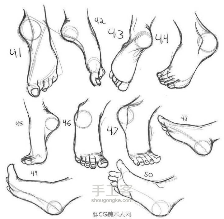 （转）脚的结构参考 第2步