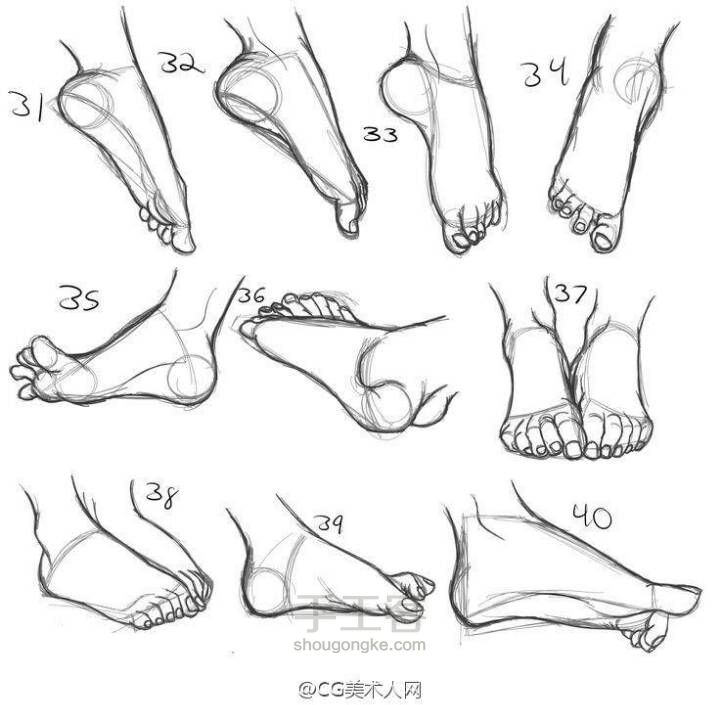 （转）脚的结构参考 第3步