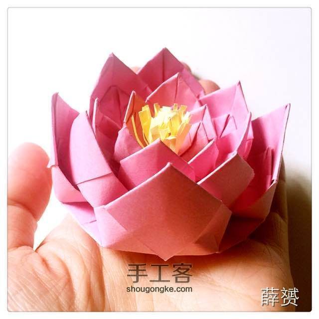 （纸花系列三十九）荷花折法 第19步