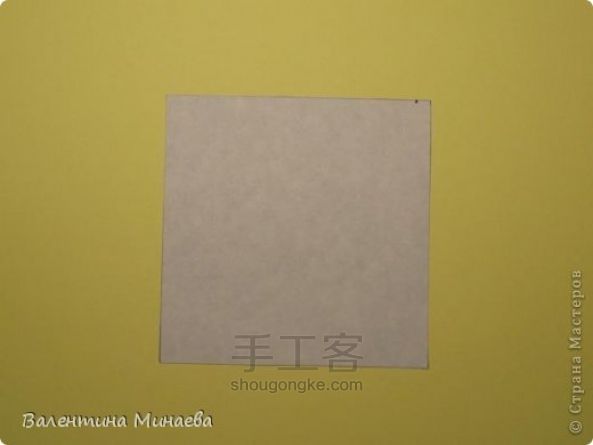 【转载】花球 （实拍） 第3步