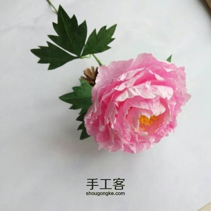 [材料可购]花开富贵—牡丹 第50步