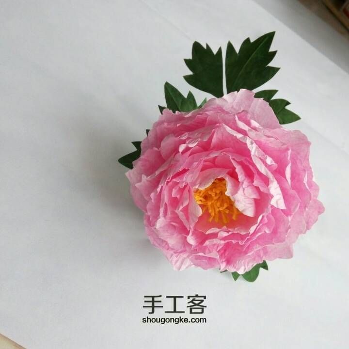 [材料可购]花开富贵—牡丹 第52步