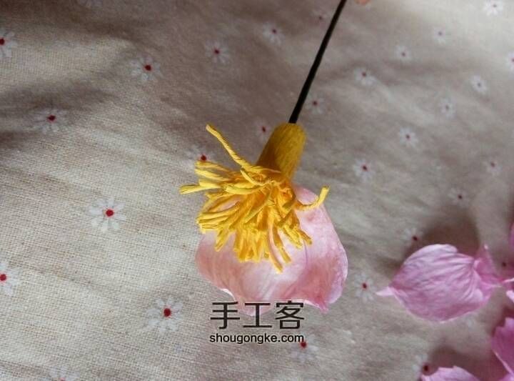 [材料可购]花开富贵—牡丹 第21步