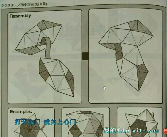 花球【转载】 第5步