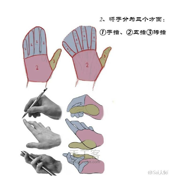 手部关节绘制（转） 第2步