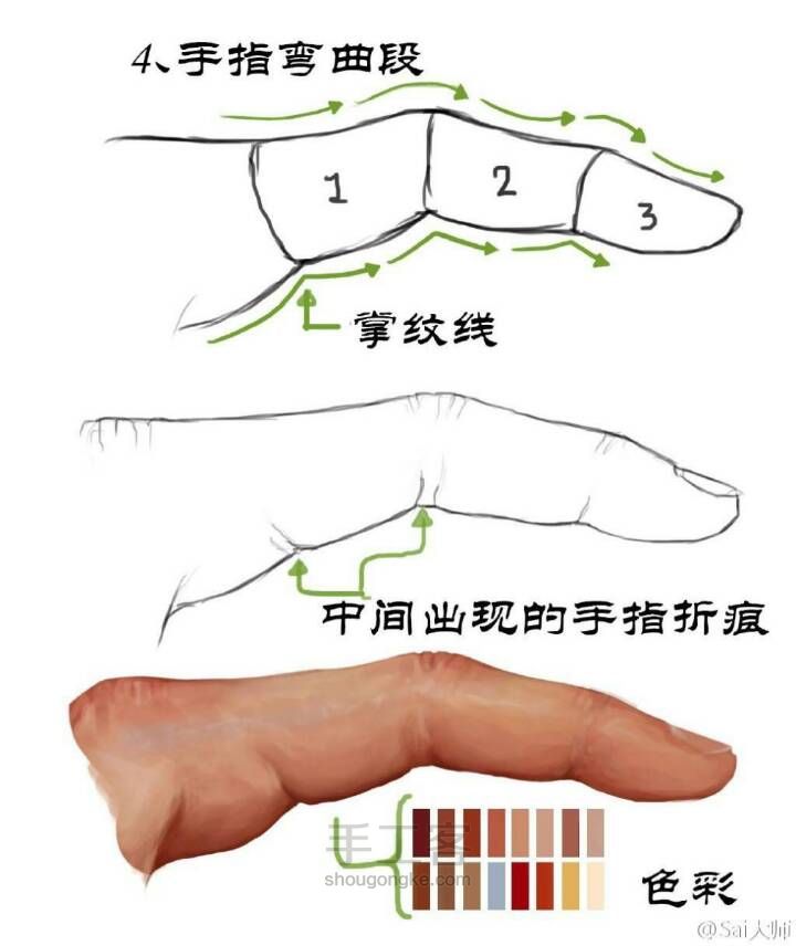 手部关节绘制（转） 第4步