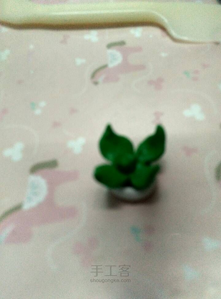 小盆栽～ 第5步