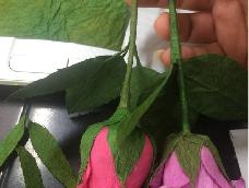 皱纹纸买的不一样，会退色！看着浮染纸就做了这个花萼！图片上的花萼的对比，小朵开花的是我的作品，花萼退色的是贪便宜买的折皱纸！大朵的是纸蔷薇的作品😝