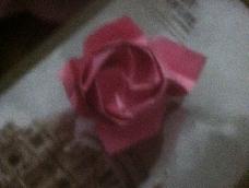 我纸的卷心玫瑰