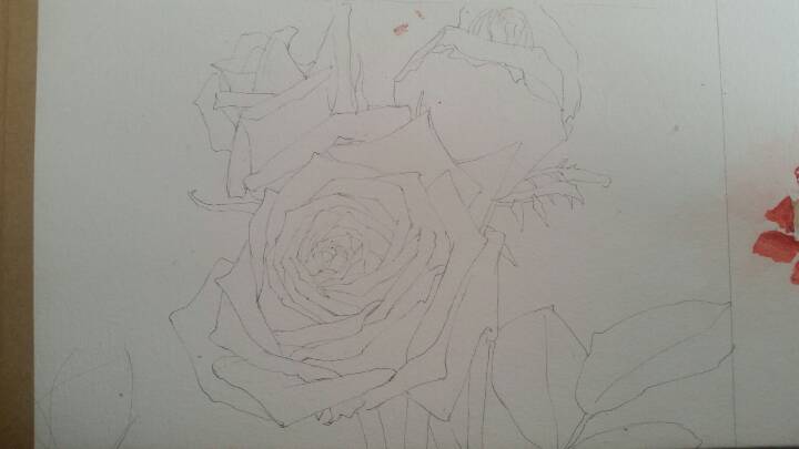 小盒子手绘㊣↣玫瑰花🌹 第2步