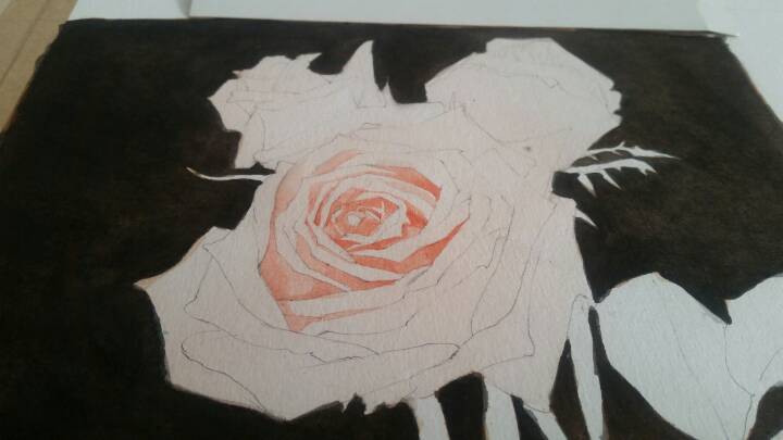 小盒子手绘㊣↣玫瑰花🌹 第5步
