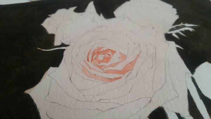 小盒子手绘㊣↣玫瑰花🌹 第4步