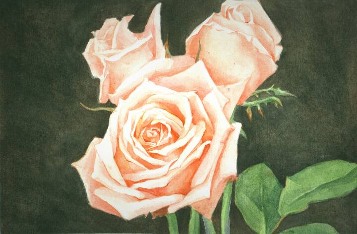 小盒子手绘㊣↣玫瑰花🌹 第1步
