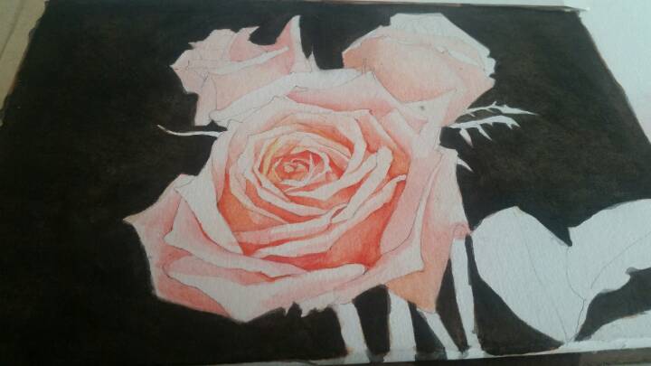 小盒子手绘㊣↣玫瑰花🌹 第8步