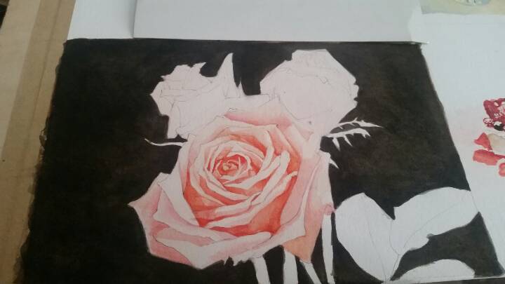 小盒子手绘㊣↣玫瑰花🌹 第7步