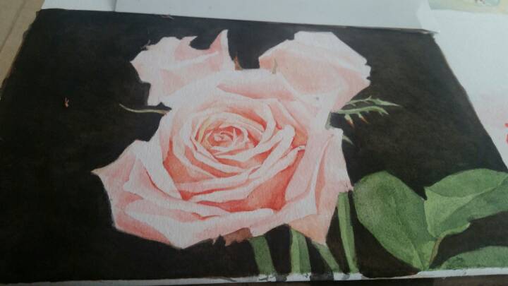 小盒子手绘㊣↣玫瑰花🌹 第9步