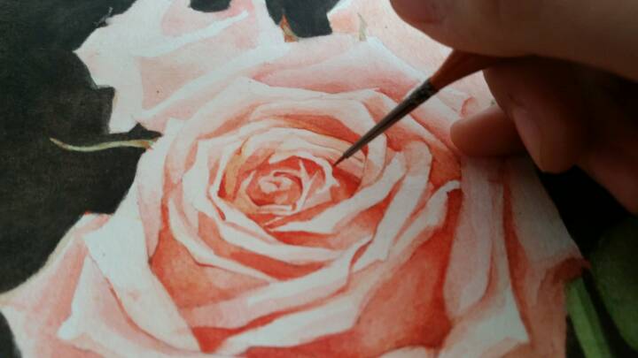 小盒子手绘㊣↣玫瑰花🌹 第12步