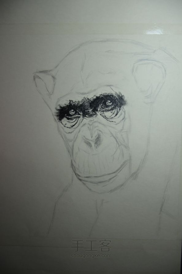 细腻钢笔画—大猩猩 第2步