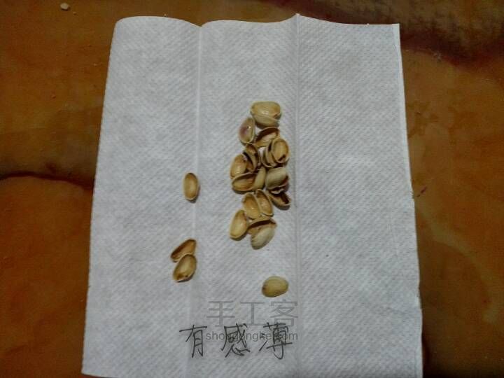 让果壳开个花 第2步