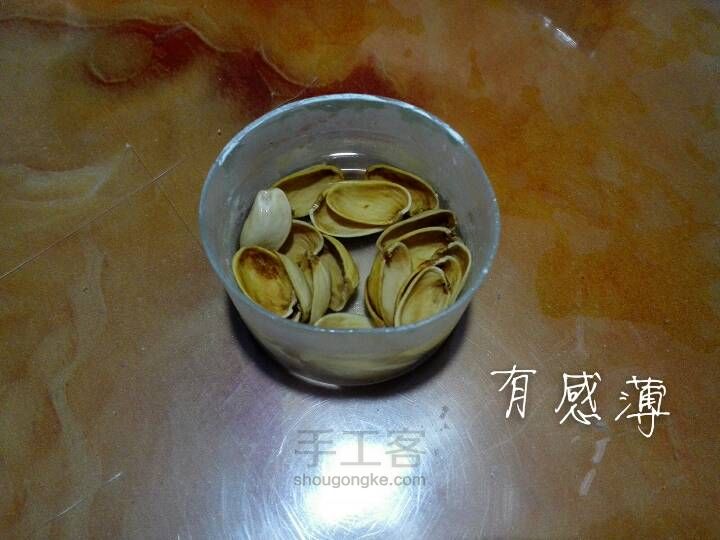 让果壳开个花 第3步