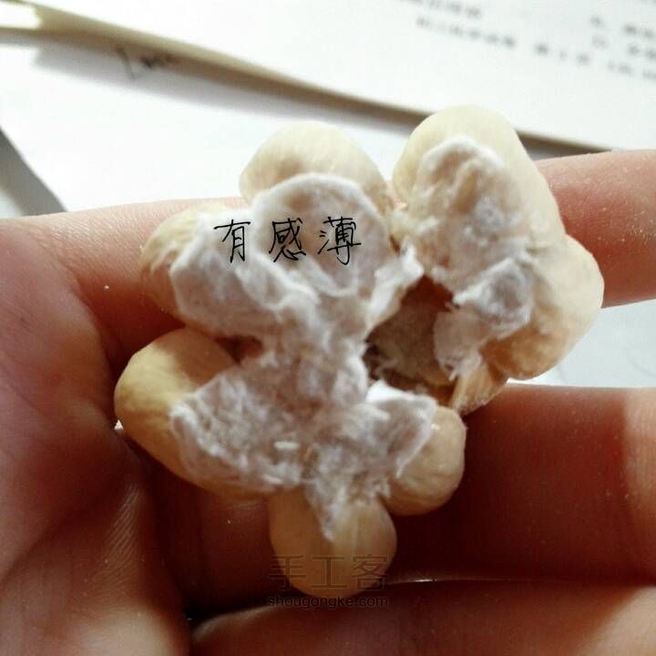 让果壳开个花 第8步