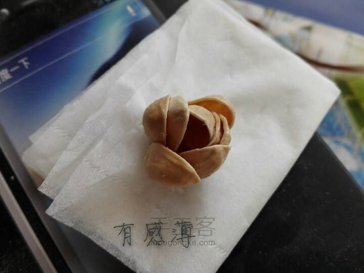 让果壳开个花 第7步