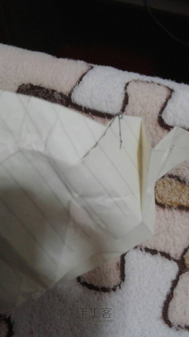 白玫瑰 第28步